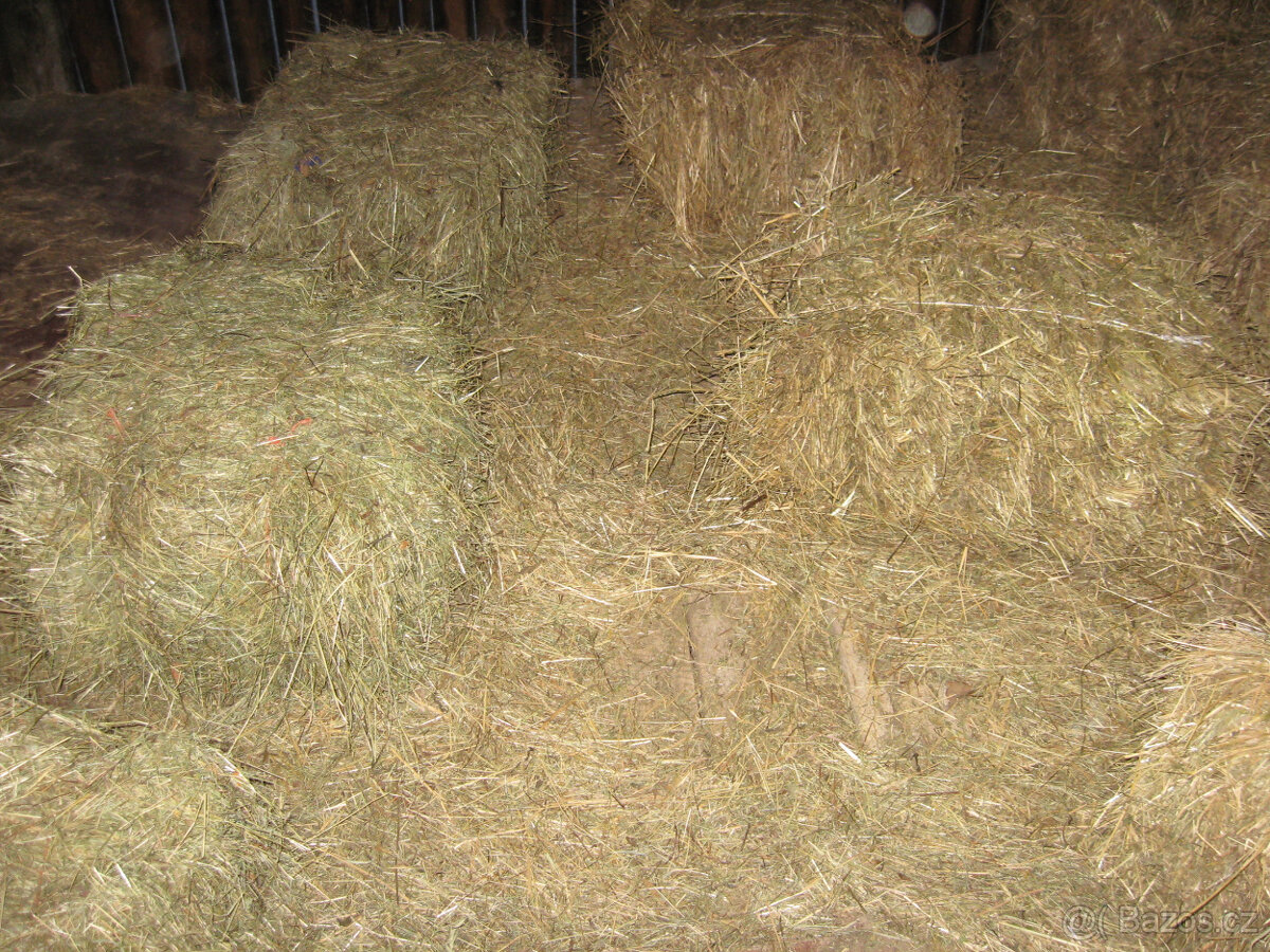 prodám seno -malé balíky - 2