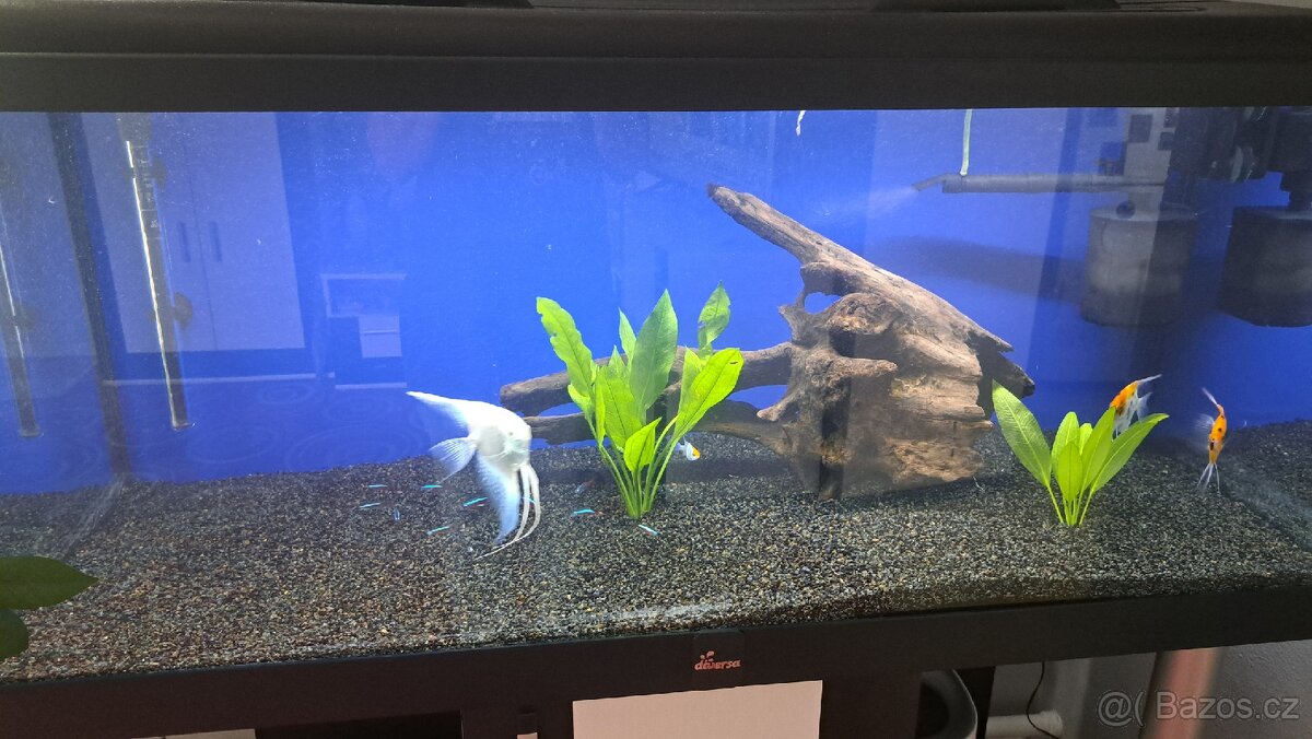 Akvaium 300l set - 2