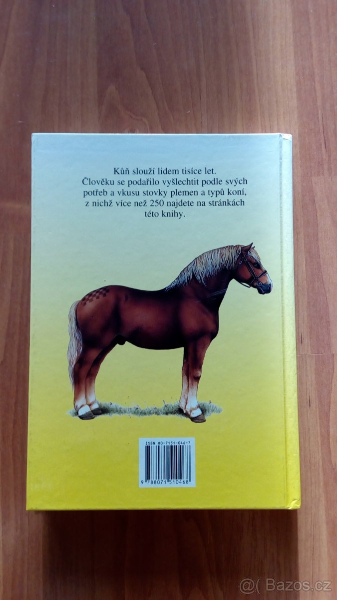 Koně - Kholová, Hošek - 2