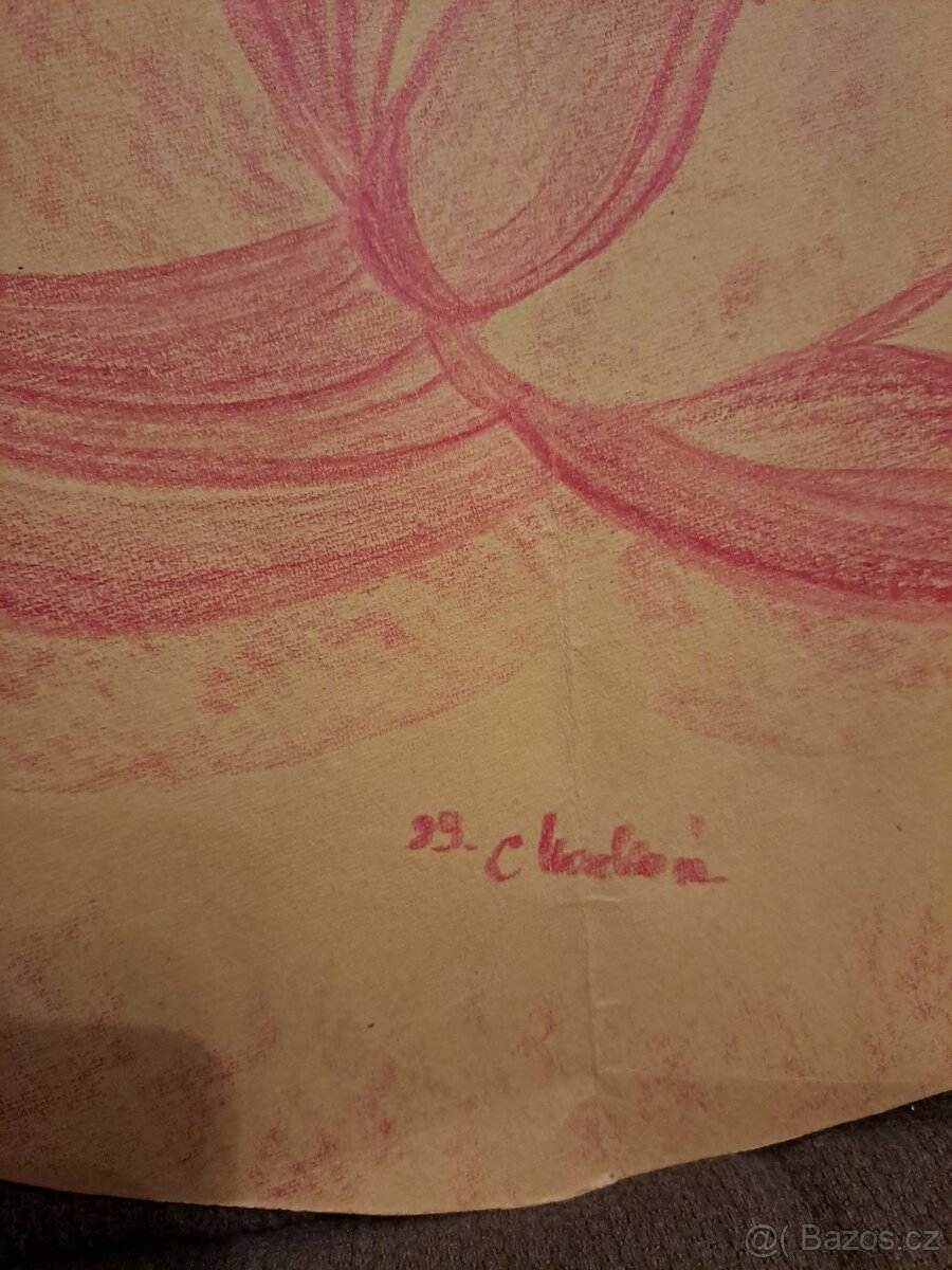 Cecilie Marková - velká medijní kresba - 2