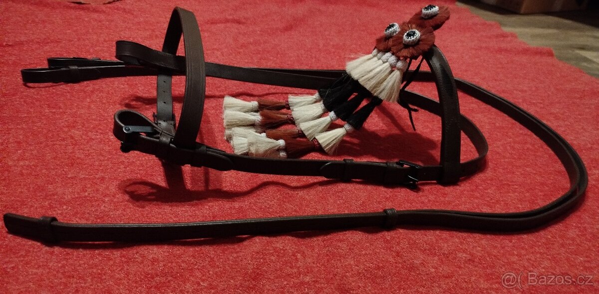 Španělská uzdečka - 2