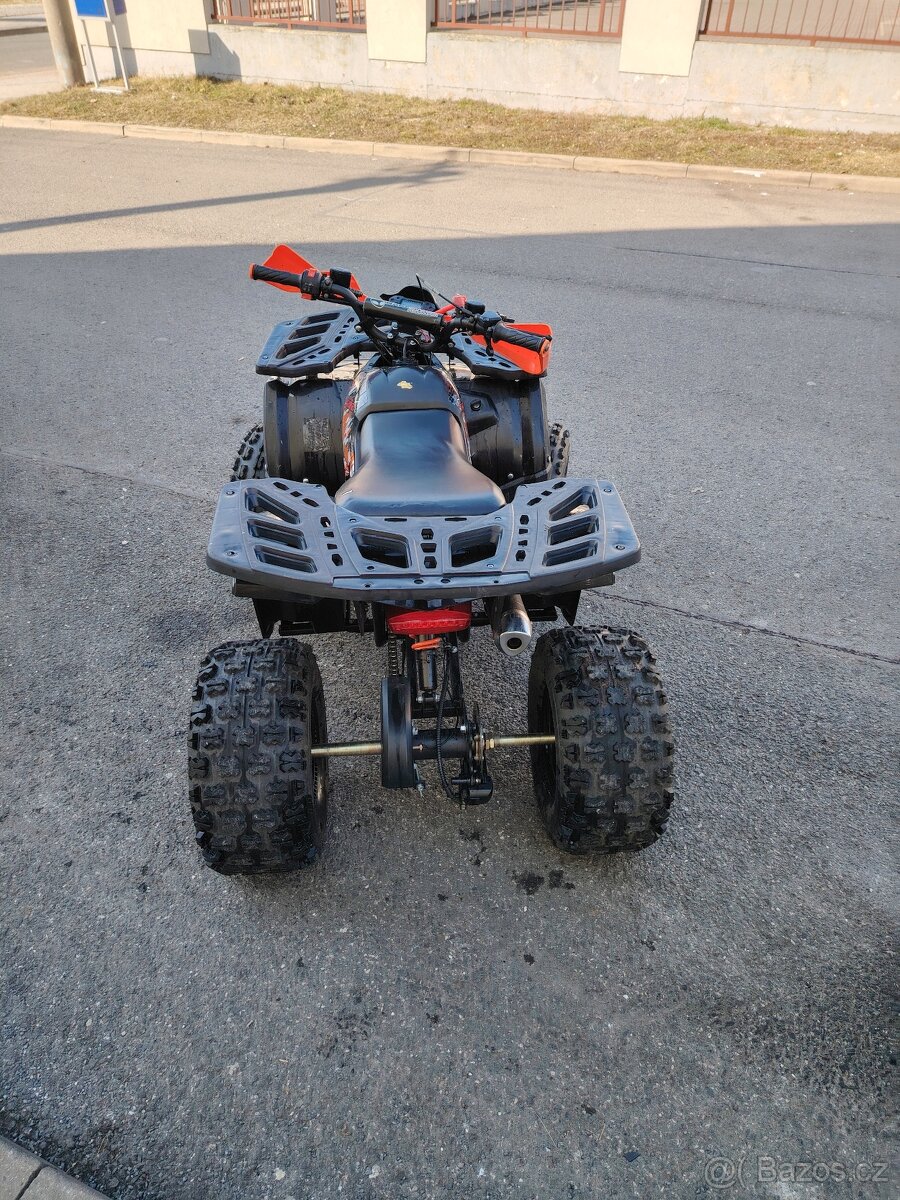 Piranha 50