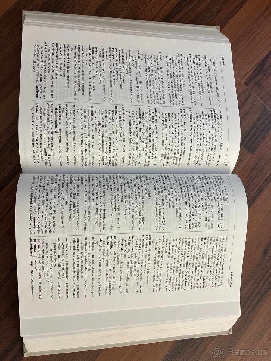 Česko-polský slovník - 2