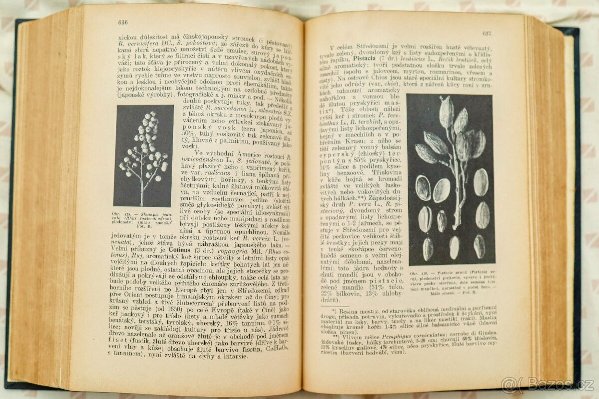 Velký přírodopis 4.díl - Botanika speciální - 2