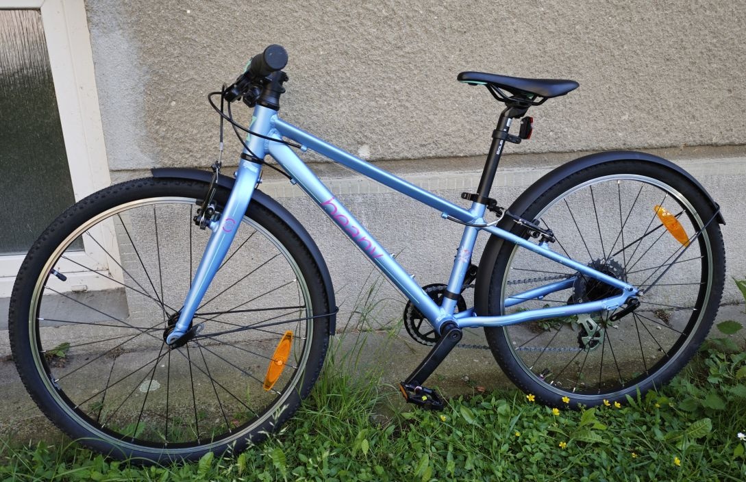 Beany Zero 24" - 2