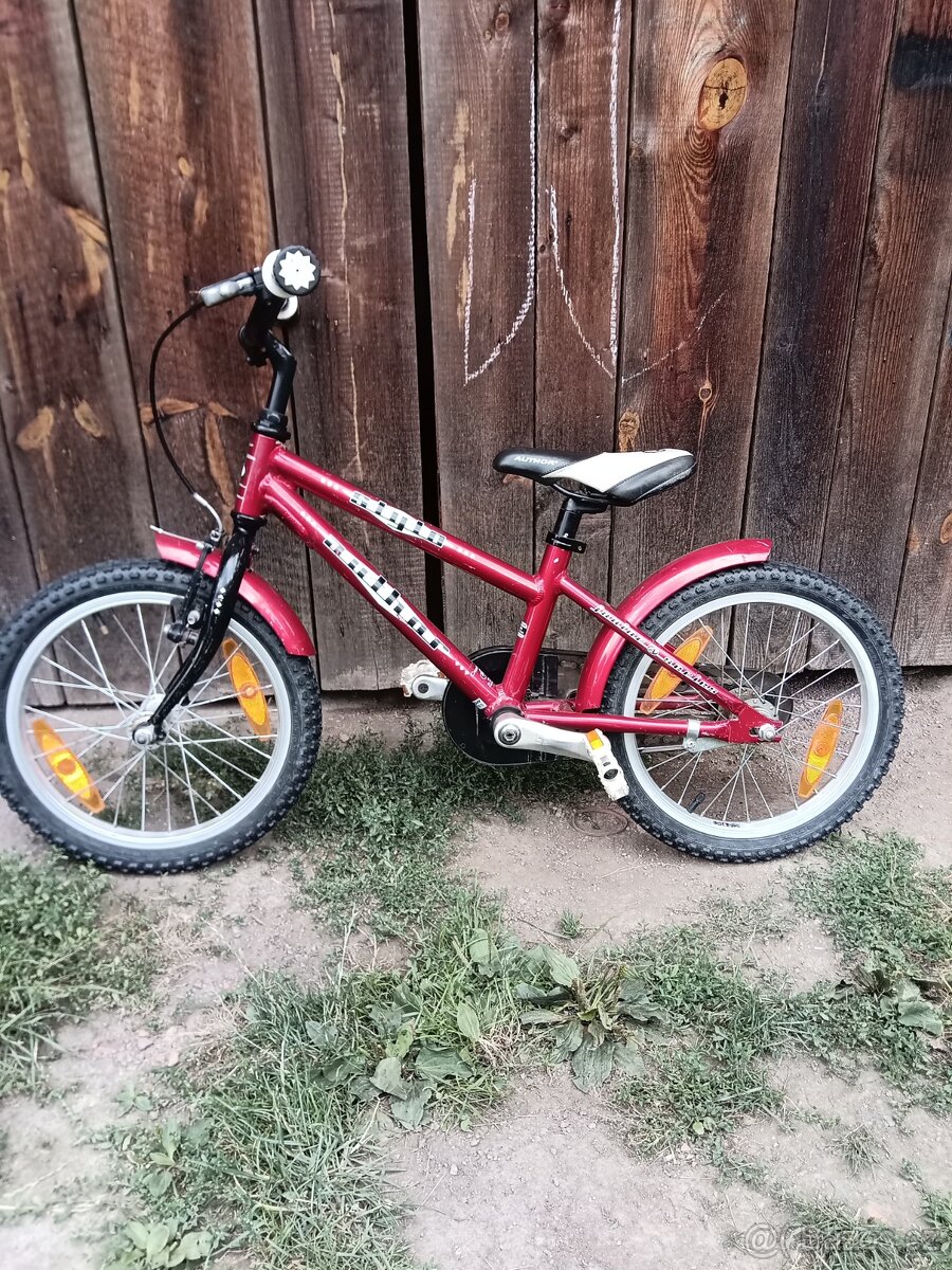 Author Stylo 16" - 2