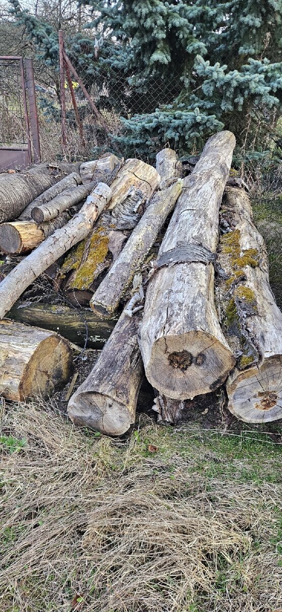 Prodám tvrdé dřevo - 2