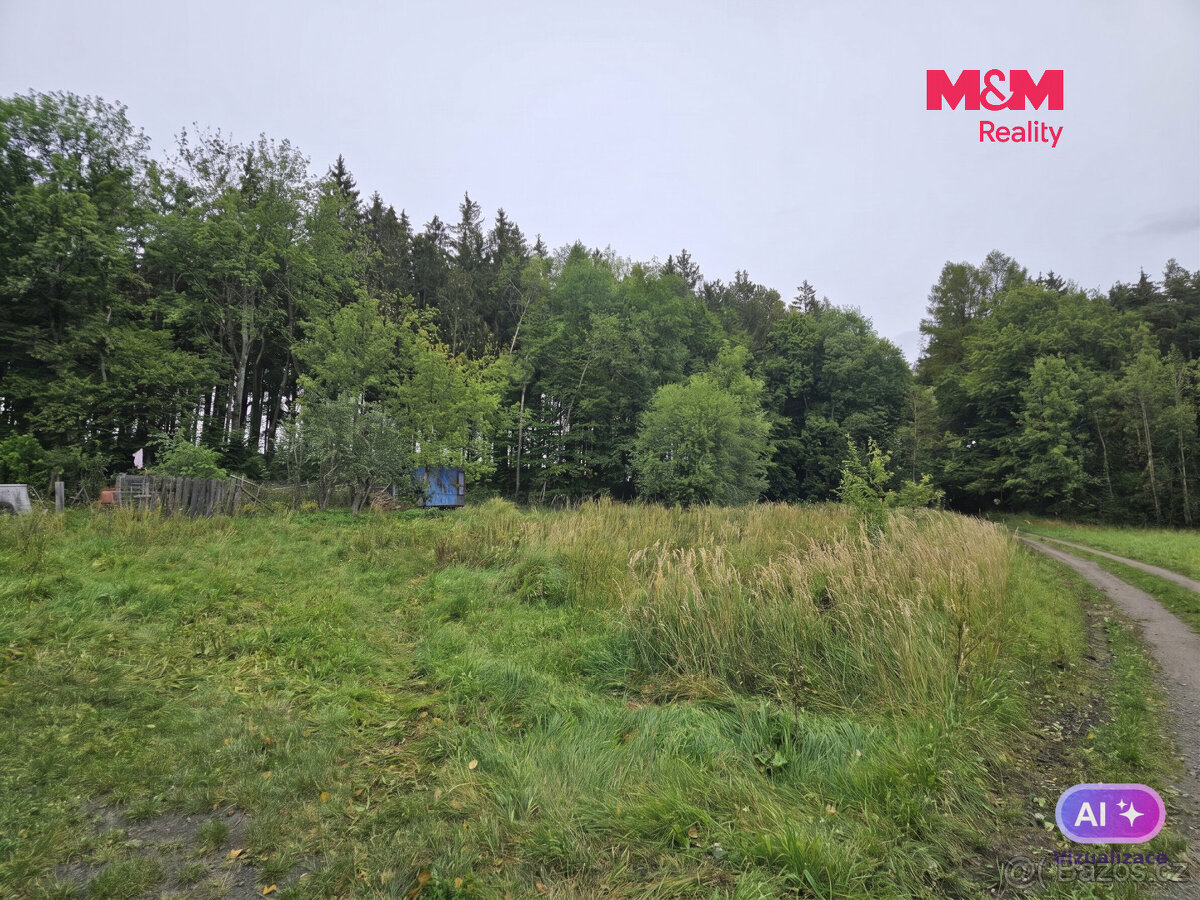 Prodej louky, 922 m², Hynčina - 2
