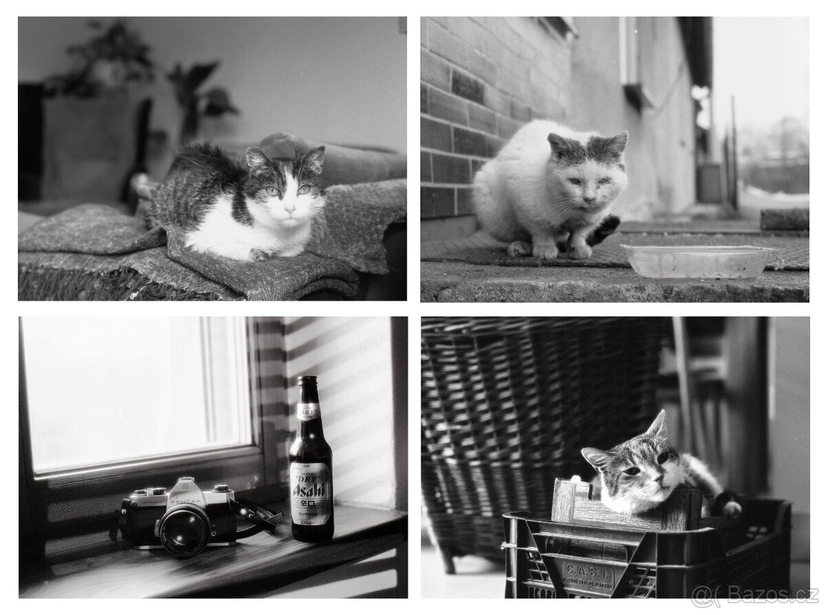 Hasselblad 500 C/M Konvolut – středoformátový set se 3 skly - 2