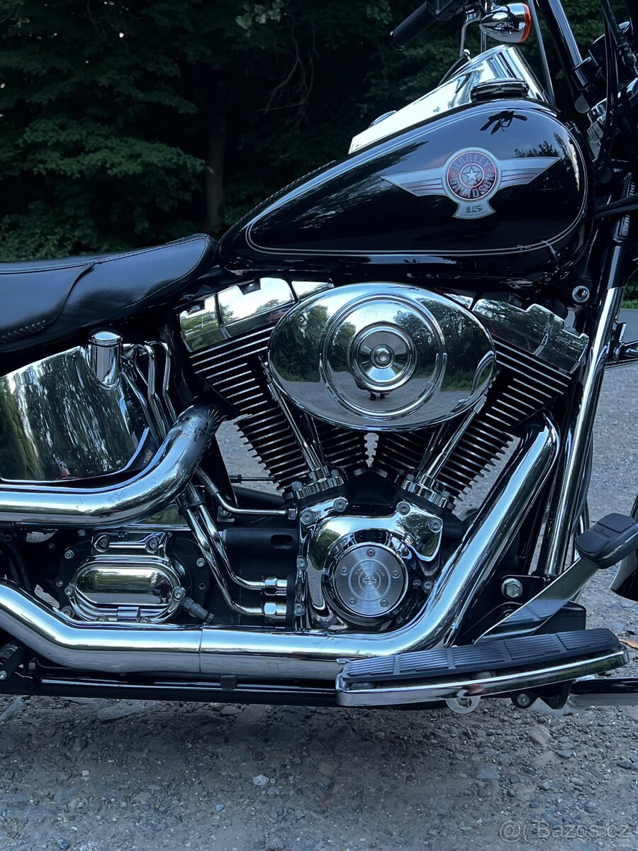 Harley - Davidson Fat Boy - 2