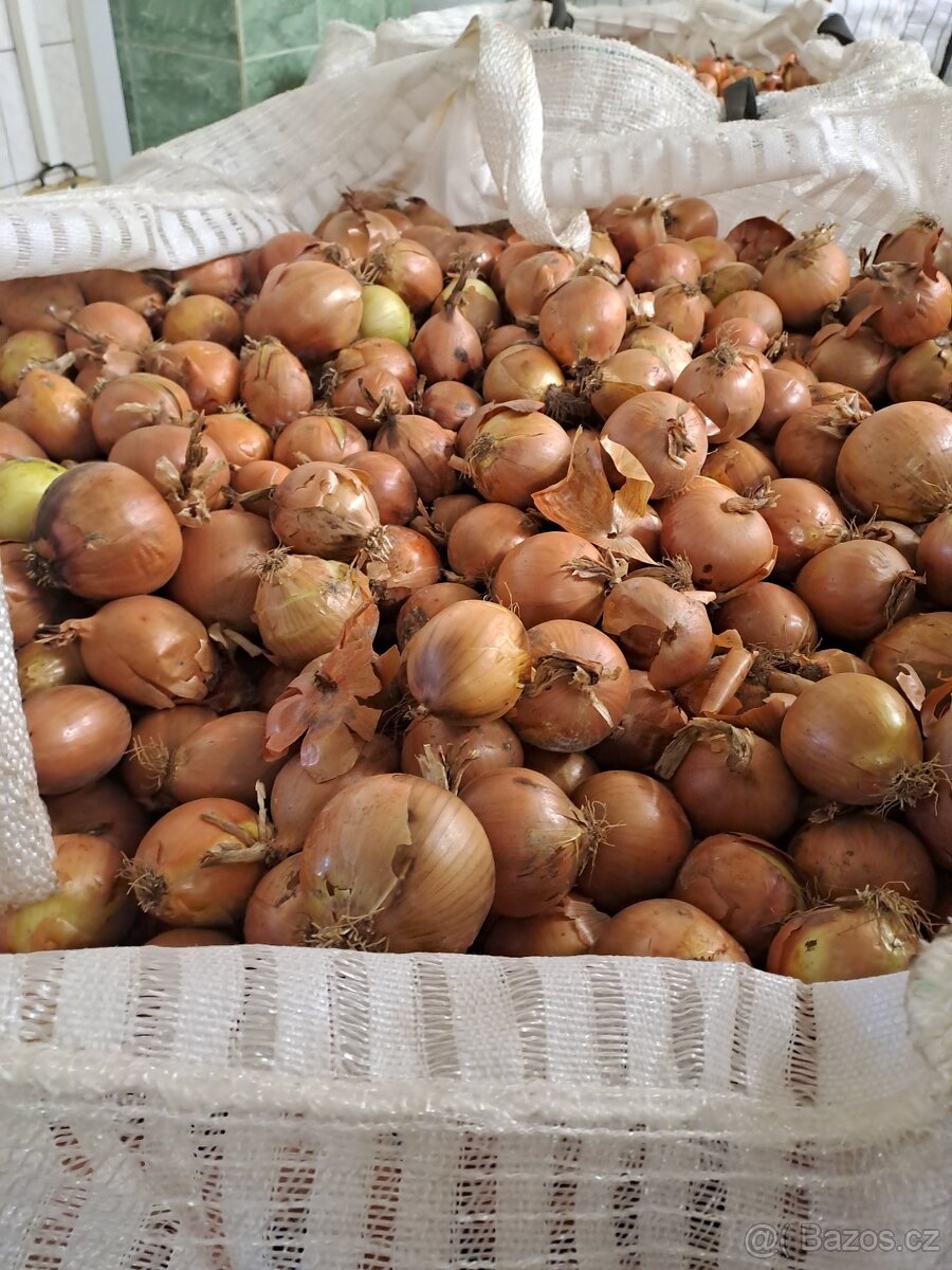Brambory a cibule - 2