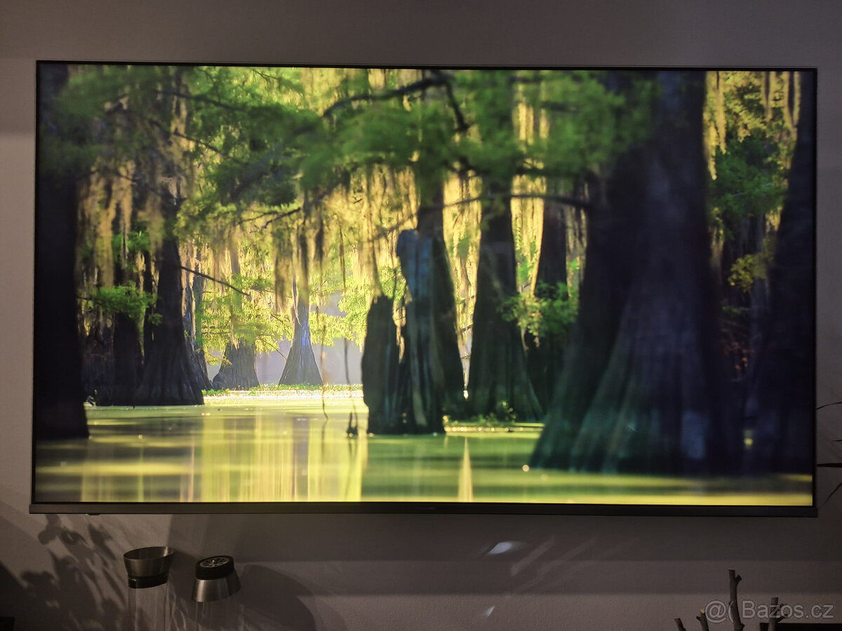 Televize Panasonic 65" - 2