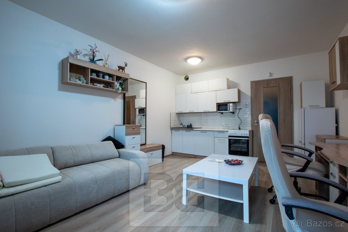 Pronájem bytu 1+kk 31 m², Praha - Horní Měcholupy - 2