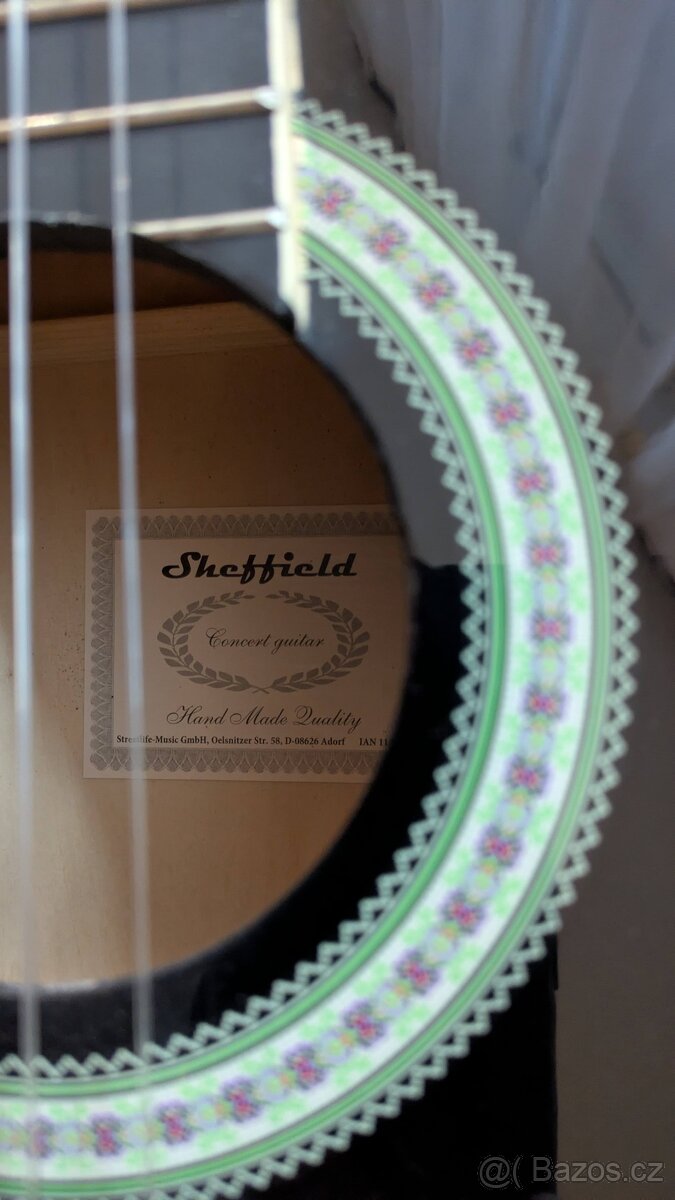 Kytara včetně pouzdra - 2