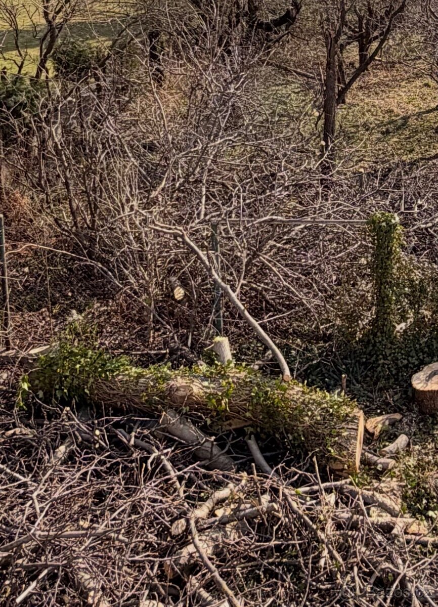 Dřevo na prodej Hošťálkovy - 2