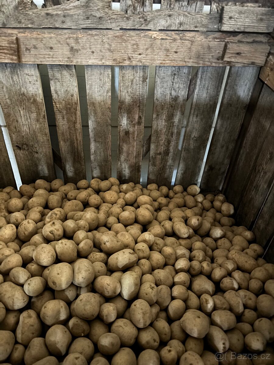 Certifikovaná sadba - 2