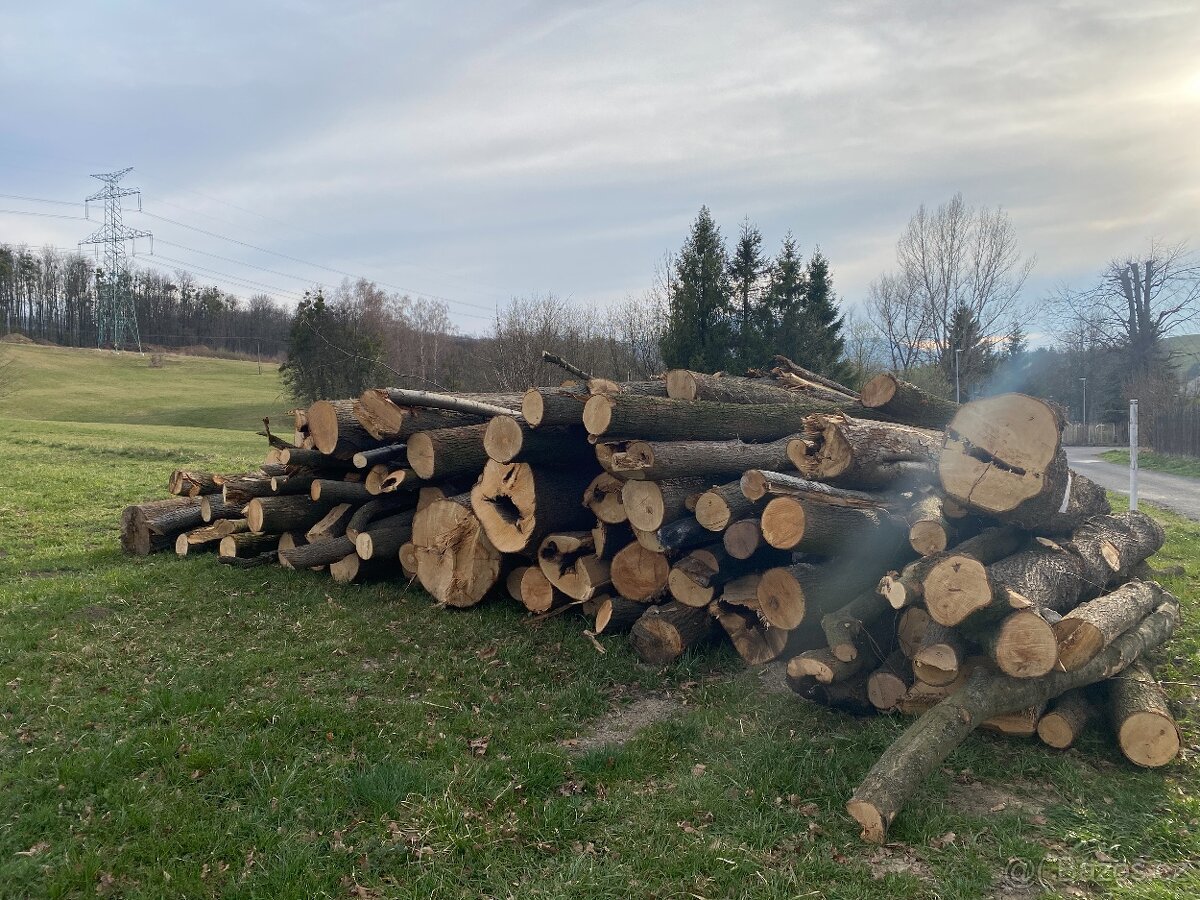 Palivové dřevo - 2