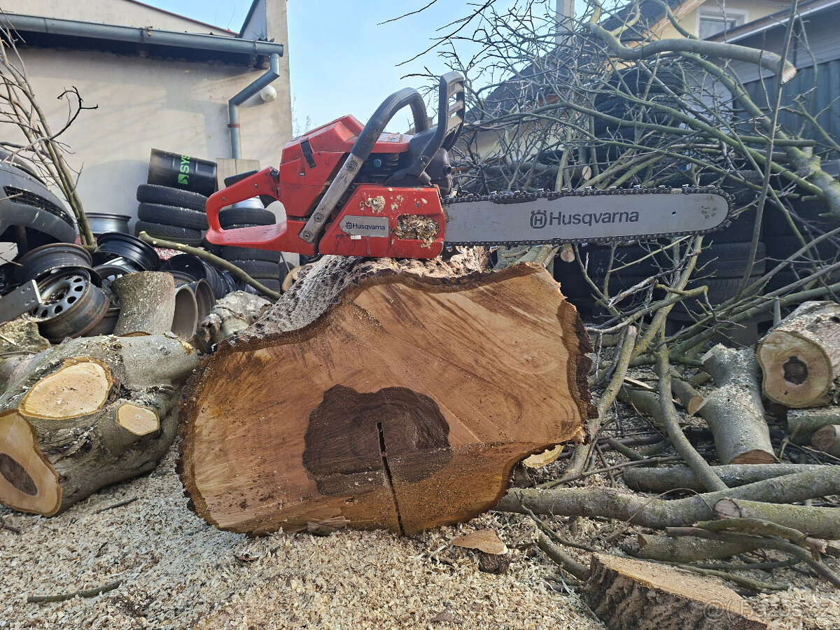 Kmen Ořešáku - ořech - 2