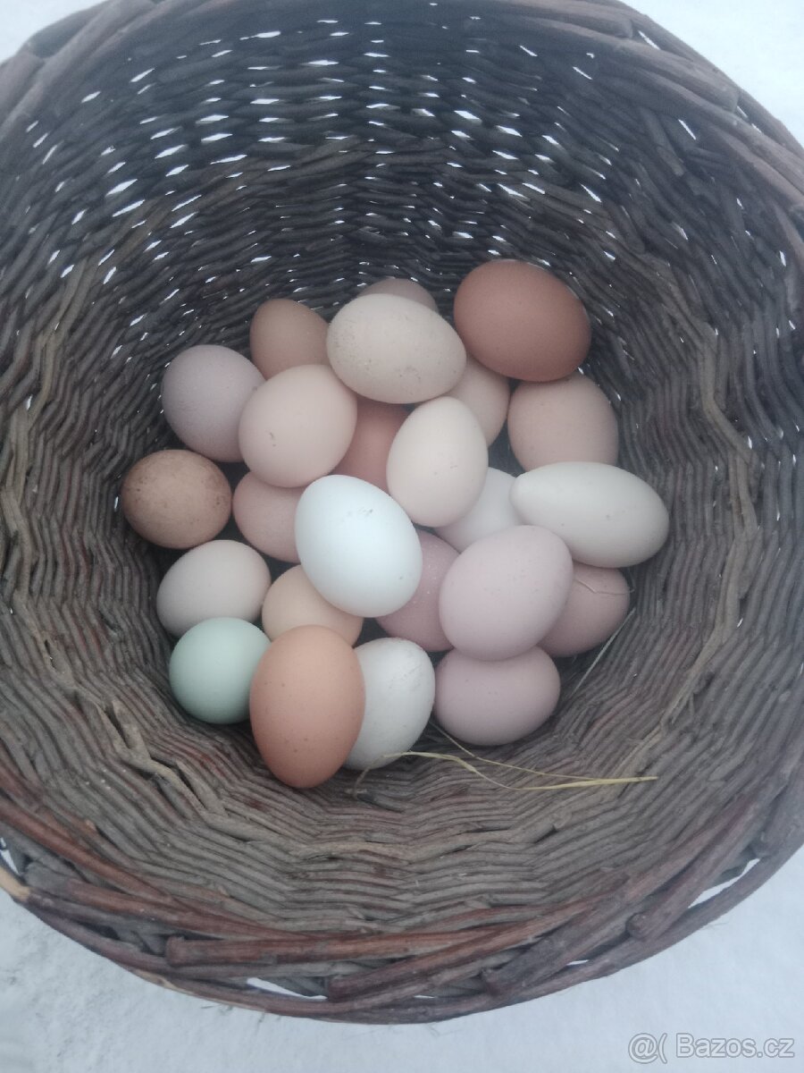 Domácí vajíčka - 2
