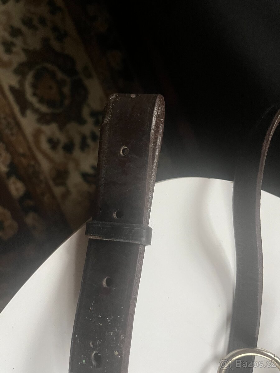 Hnědý martingal - 2