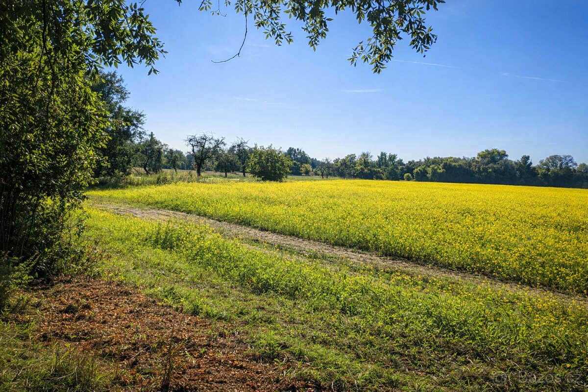 Na břehu zátoky - 2