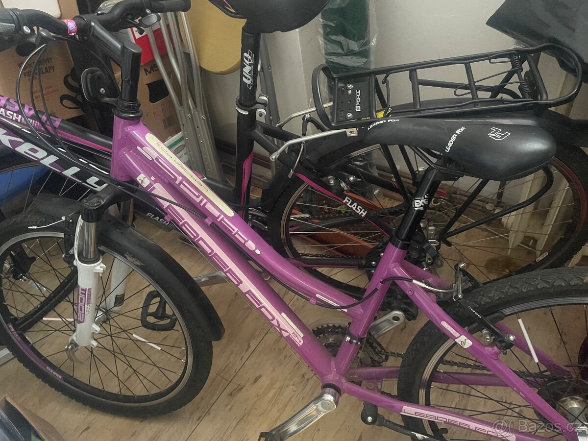 Dívčí kolo vel.24 - 2