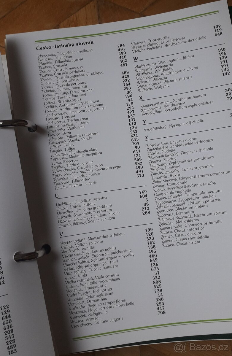 Květiny od A do Z - 2