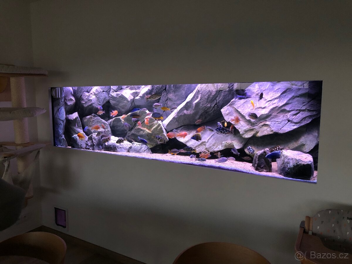 Akvárium - 2