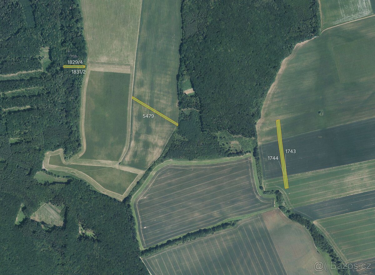 Zemědělská půda, prodej, Veletiny, Uherské Hradiště - 2