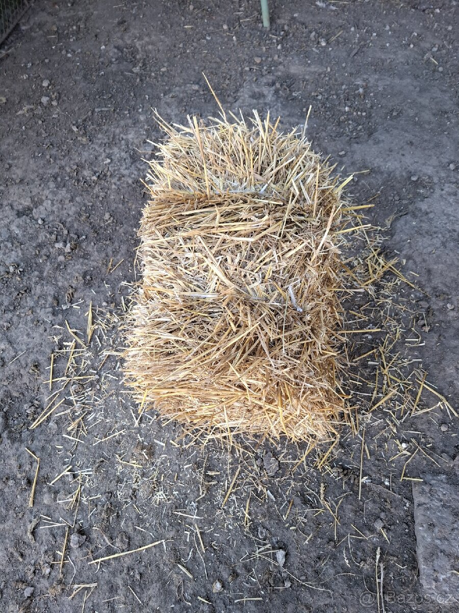 Balíky sena - 2