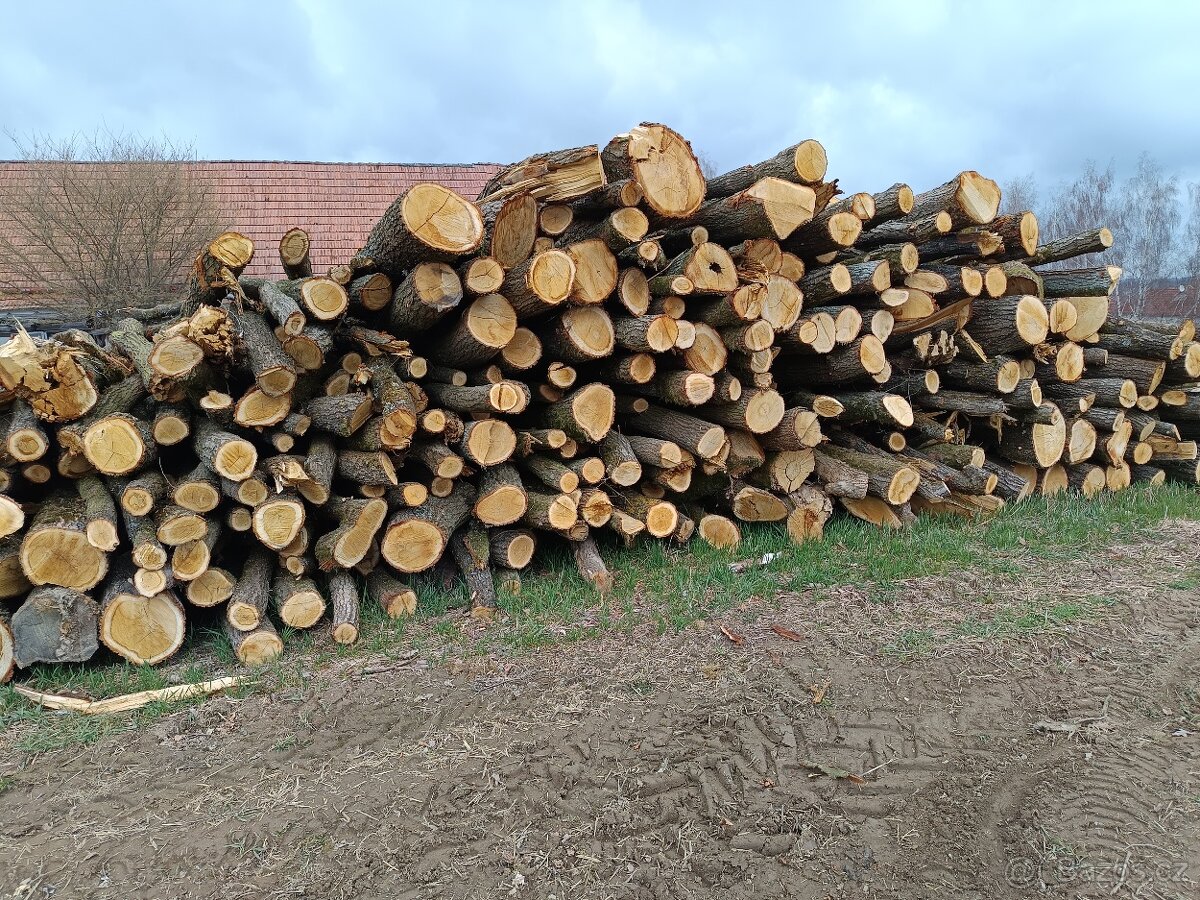 Palivové dřevo Dub - 2