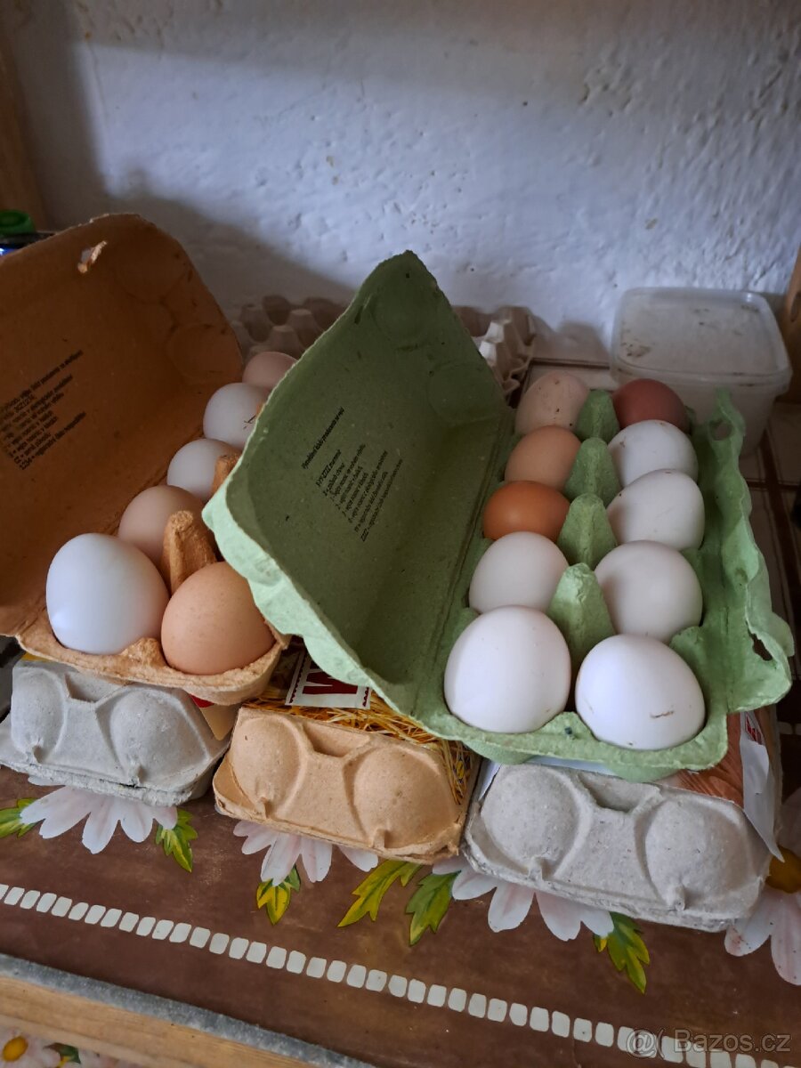 Domácí vajíčka - 2