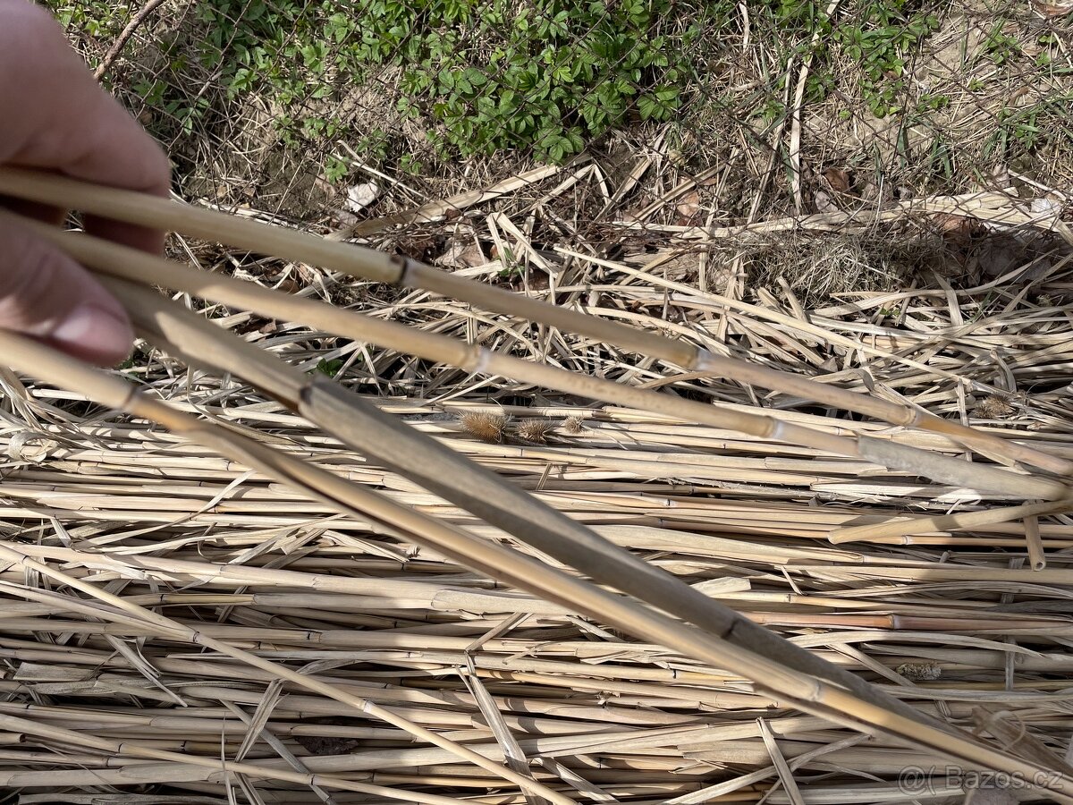 Bambusové tyče, bambusová tyčka, bambus - 2