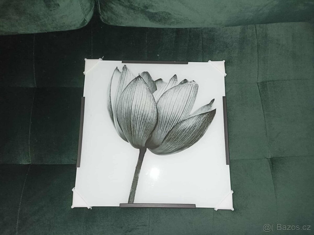 Obrázek květiny - 2
