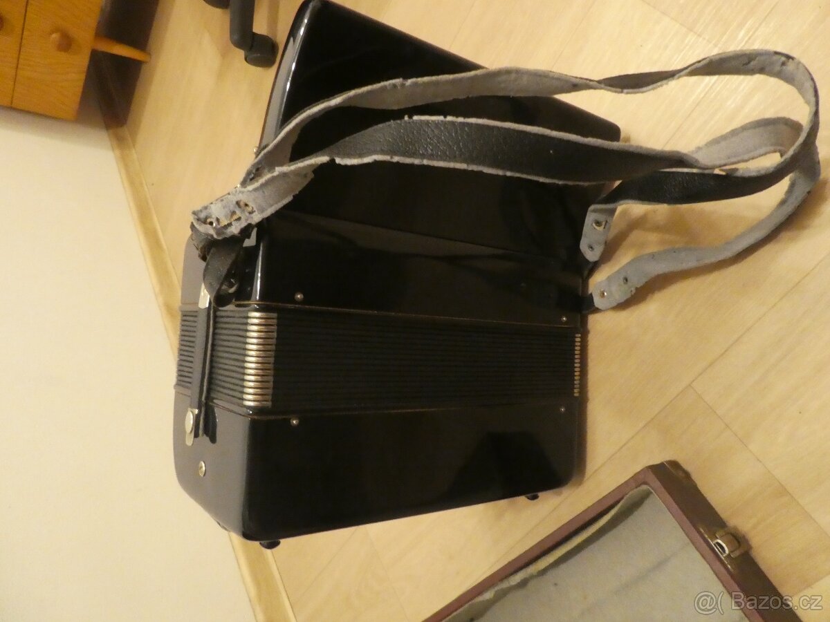 akordeon Lignatone - 2