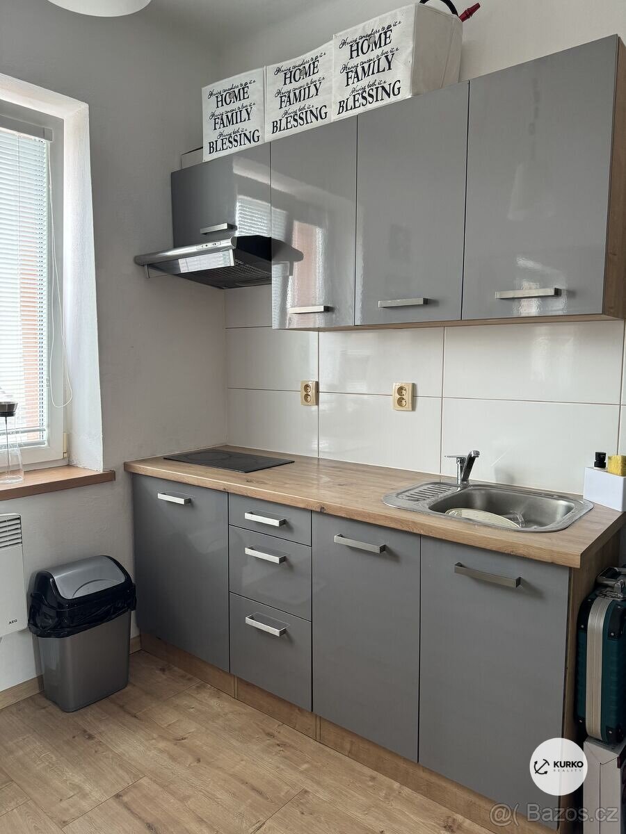 Pronájem bytové jednotky 1+1, ul. Bezručova, Frýdek-Místek - 2