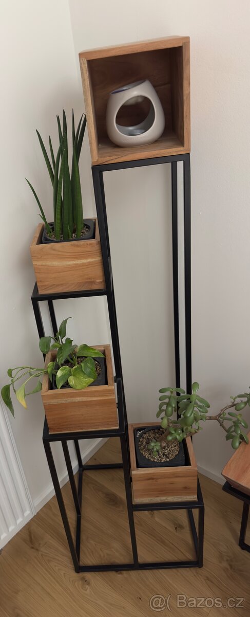 STOJAN NA KVĚTINY, akácie, černá, barvy akácie - 2