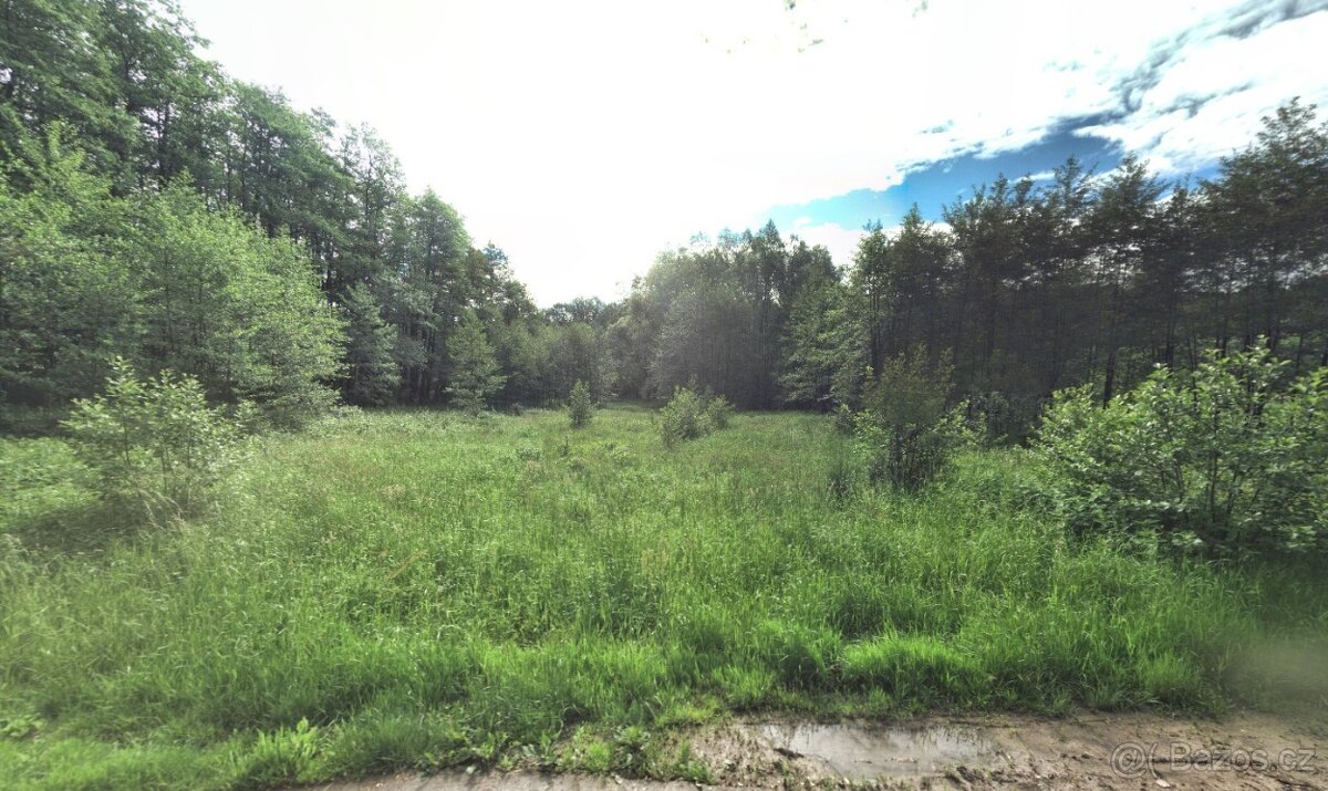 Prodej pozemku - 2