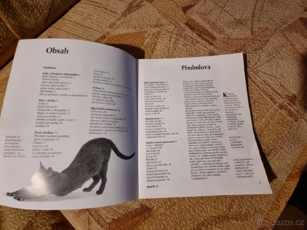 Kniha Kočka od Katrin Behrendová - 2