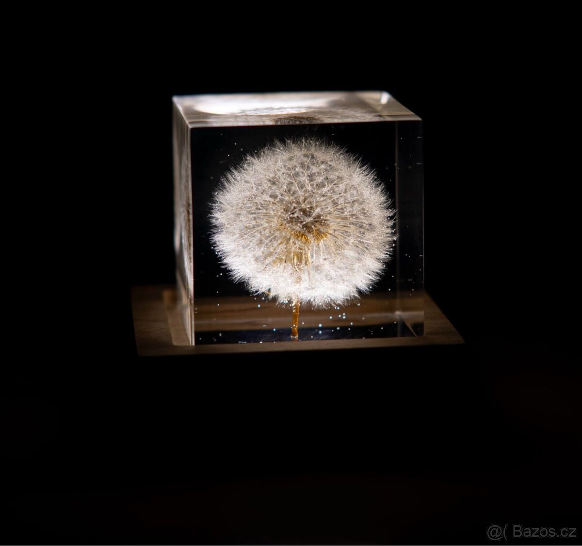 Lampička s pampeliškou v pryskyřici - 2