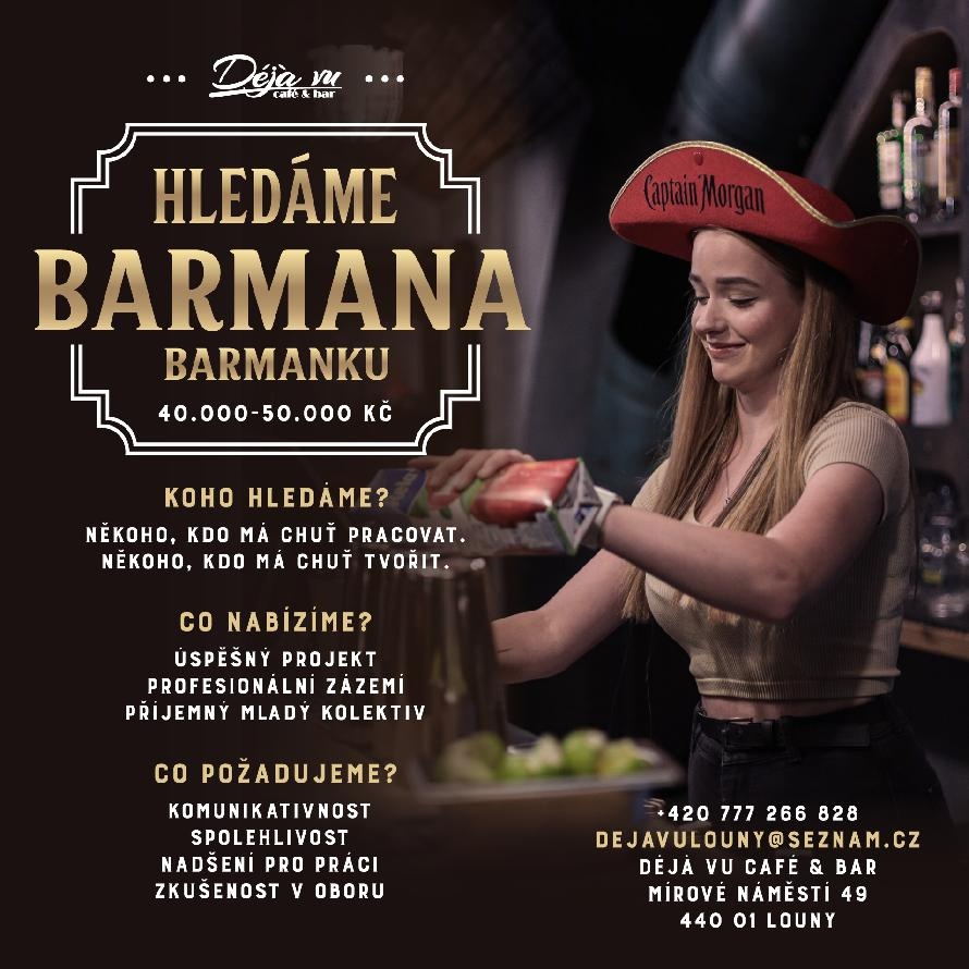 ŠÉFBARMAN/KA A BARMAN/KA - 2