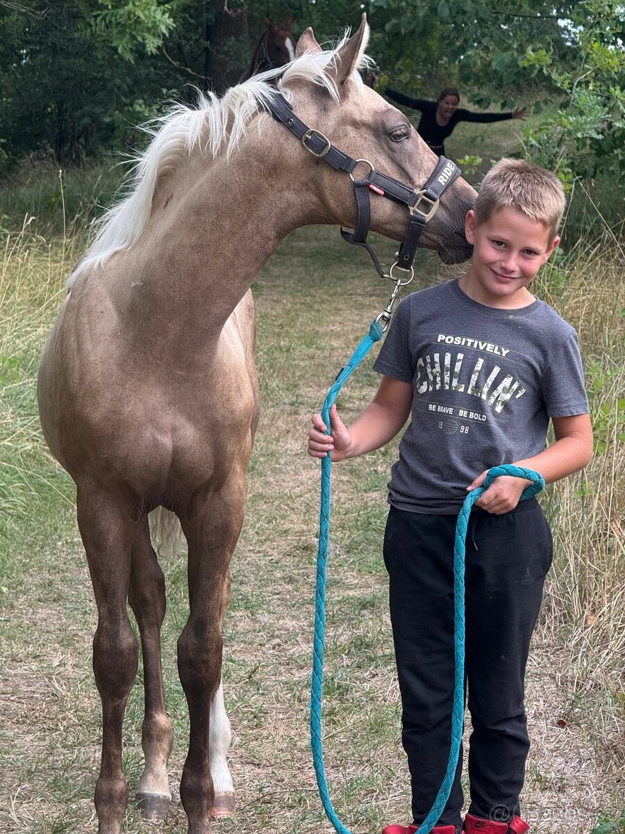 Qh - 2