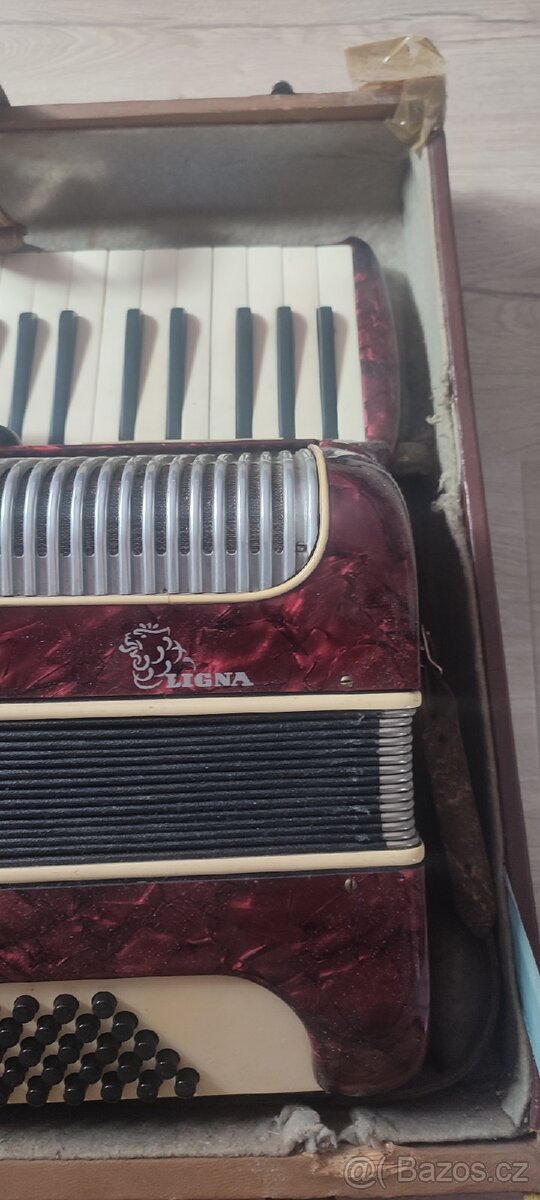 Akordeon Ligna - 2