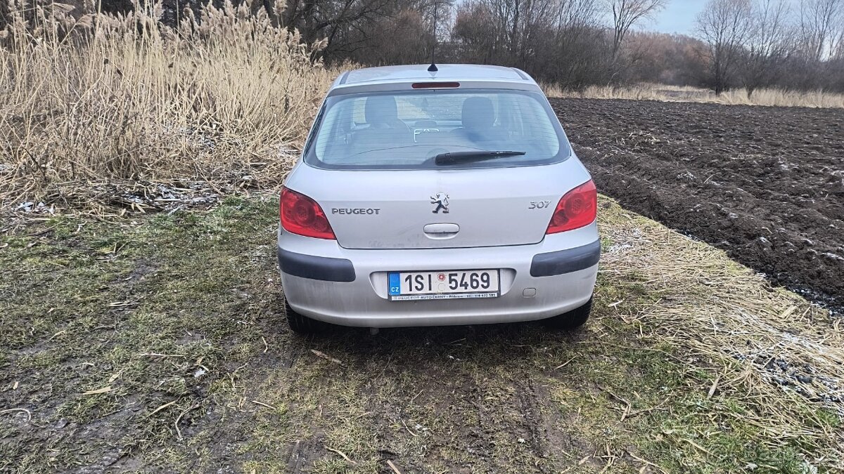 Peugeot 307, 1.6 16V - 2