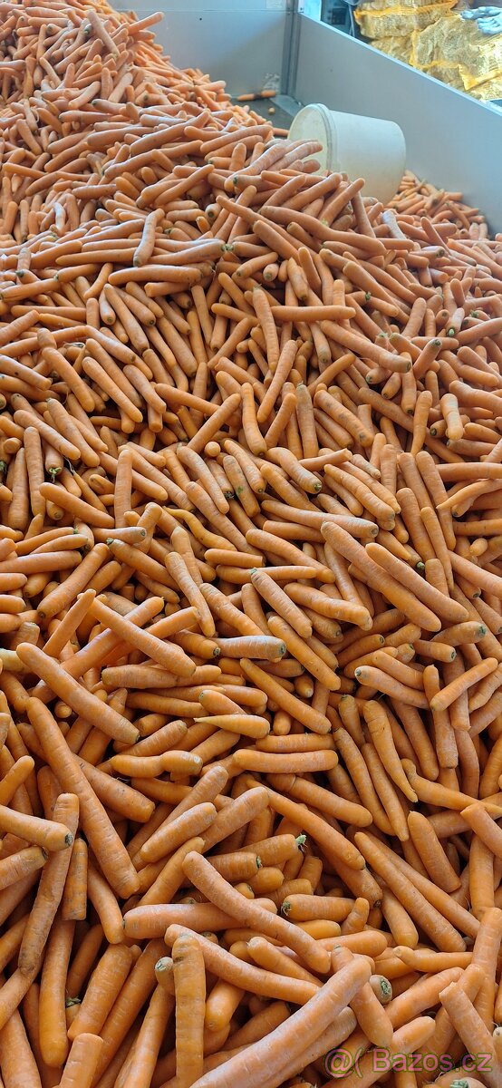 Mrkev, Cukrovarenské řízky,granule vojtěškové, senné - 2