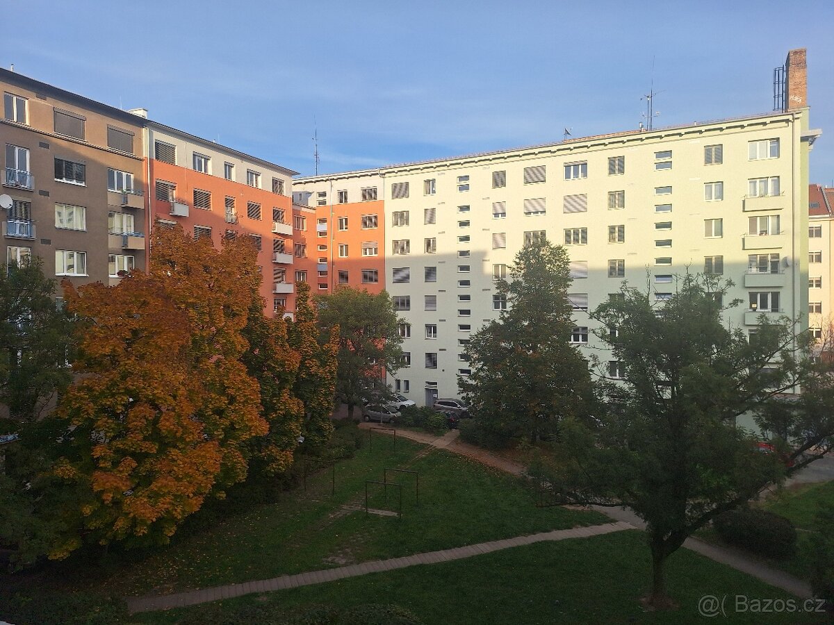 Pronájem bez RK bytu 2+1 Brno Veveří - 2