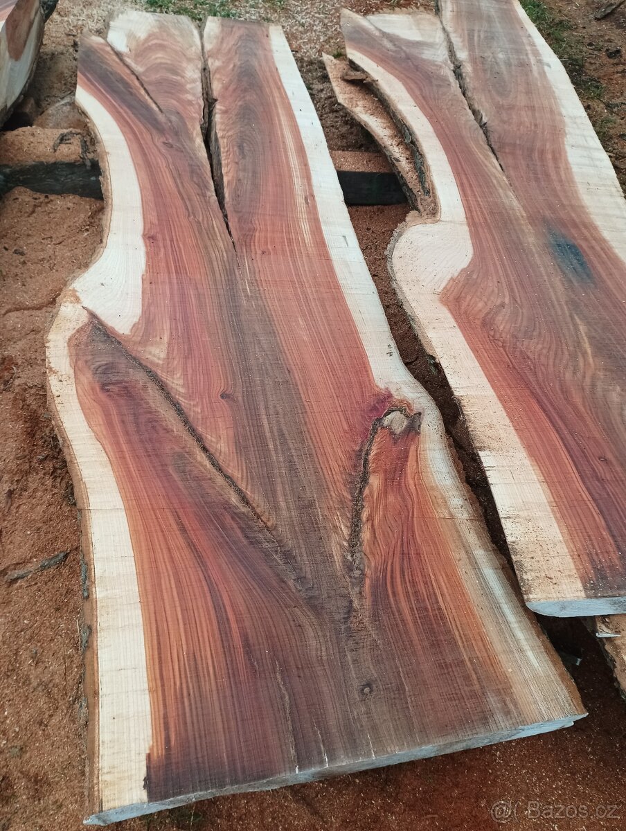 Fošny z červeného Jilmu - 2