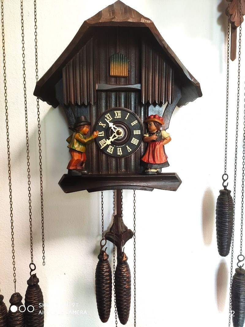 Starsi, kukacky, Schwarzwald, funkcni - 2