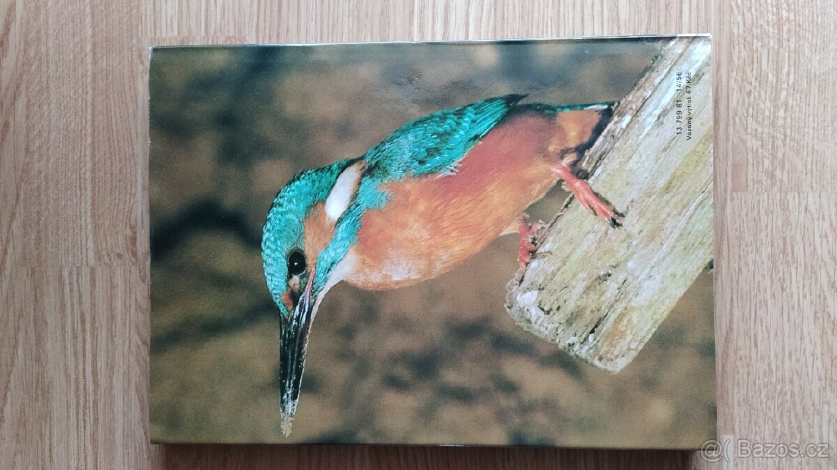 Kniha Seznámení u vody - 2