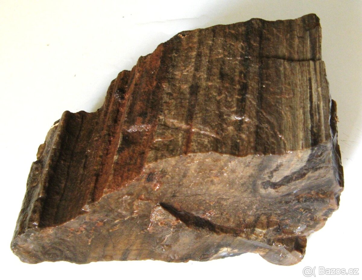 Zkamenělé dřevo - 2
